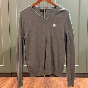 Express Charcoal V-Neck Sweater